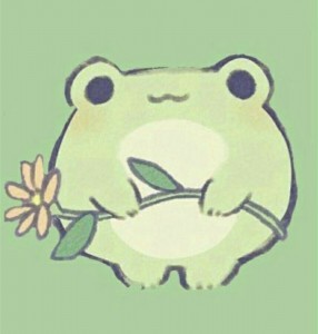 Create meme: a drawing of a frog