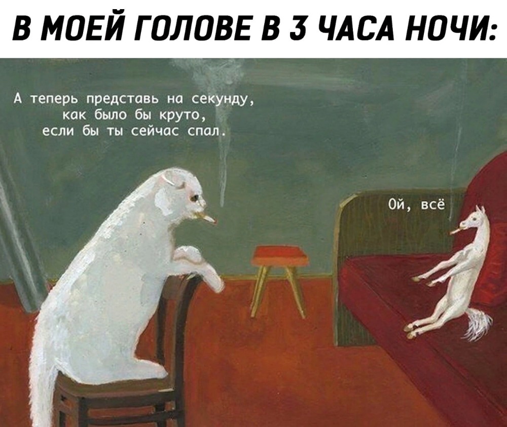 Aleksandra Waliszewska коты