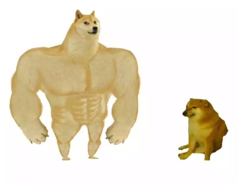Create meme: inflated dog meme, the pumped-up dog from memes, dog meme jock