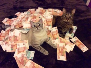 Create meme: funny cats, cat with money, cash cat