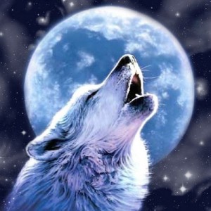 Create meme: Wolf howling at the moon