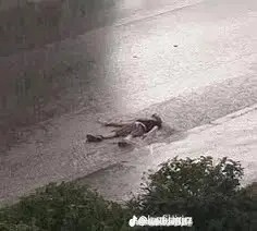 Create meme: the rain, after the rain, in the rain