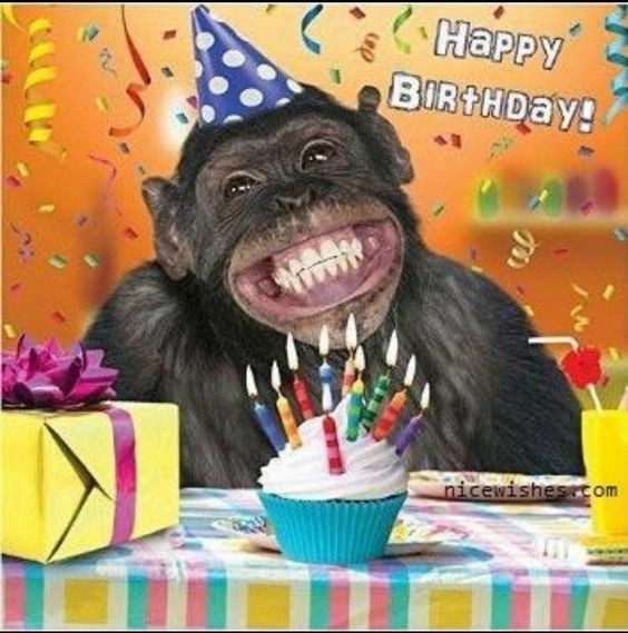 Create meme: happy birthday monkey, happy birthday friend funny, birthday funny