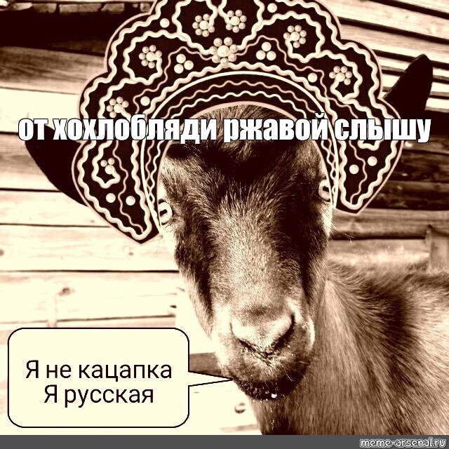 Создать мем: null