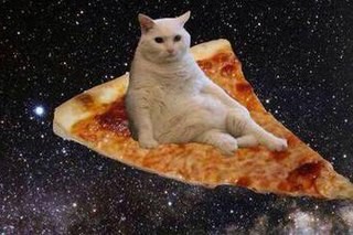 Create Meme Cat In Space Meme My Dreams Cat With Pizza Pictures Meme Arsenal Com