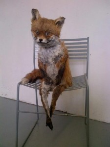 Create meme: Fox stuffed animal, Fox, stoned Fox