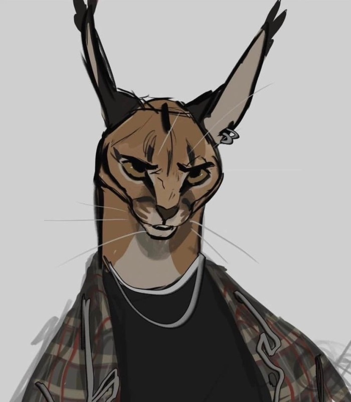 Create meme: Caracal, caracal slap, caracal gosha big spanking