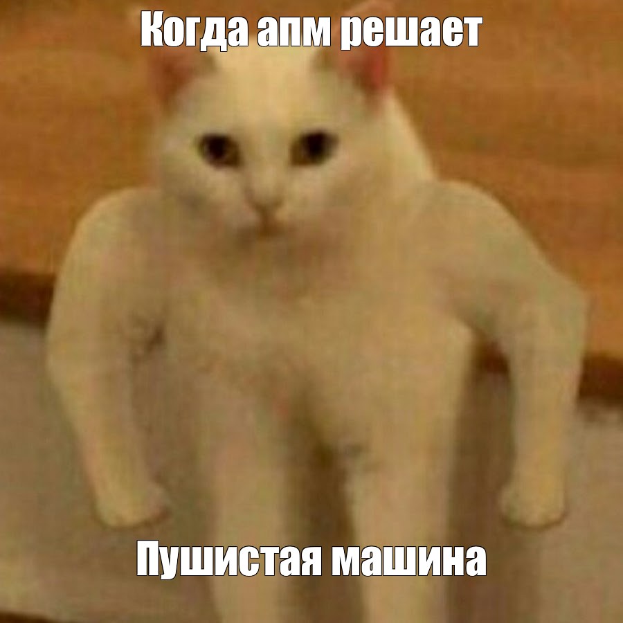 Мем: 