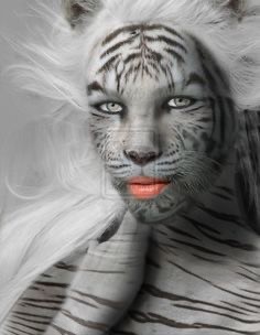 Create meme: white tiger , cat , picture of tiger black and white