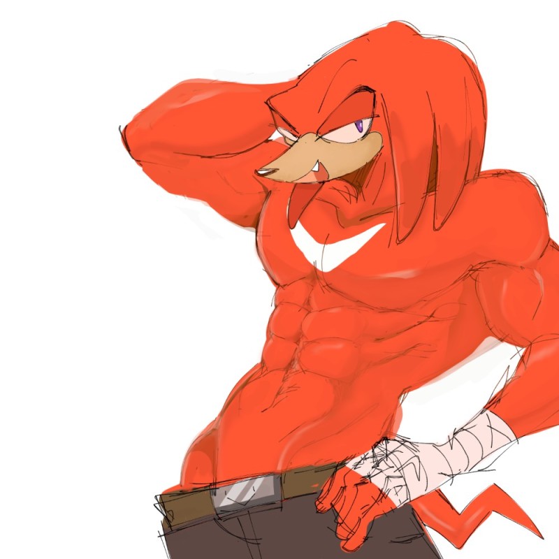 Create meme: knacks, Echidna Knuckles from Sonic 2, knuckles from sonic