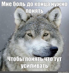 Надо конца. Мем понимаю волк. Доброе утро волк Мем. Мемы с волками утро. Смешной волк Мем.