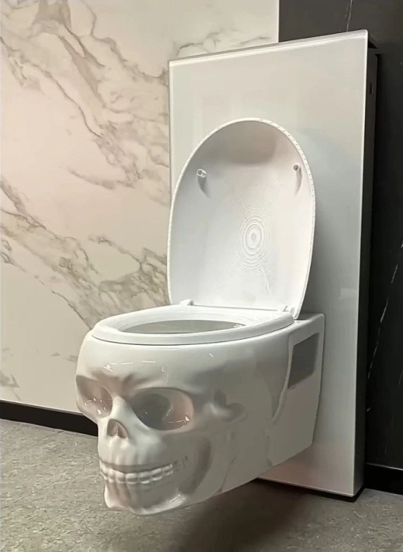 Create meme: The toilet bowl is a skull, cool toilet bowl, hanging toilet bowl cranio z19-44 zandini