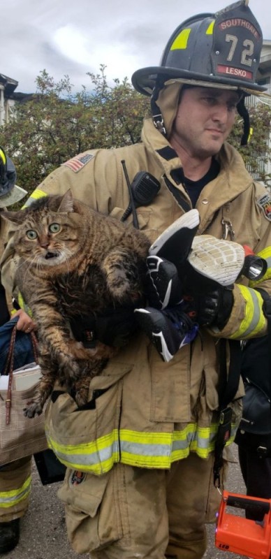 Создать мем: пожарник, спас кота, кот