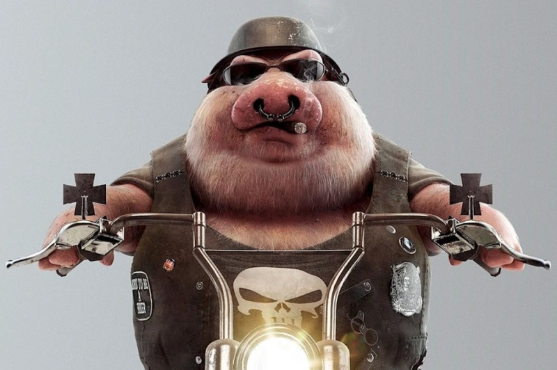 Create meme: pig in a helmet, pig on a motorcycle, A brutal pig