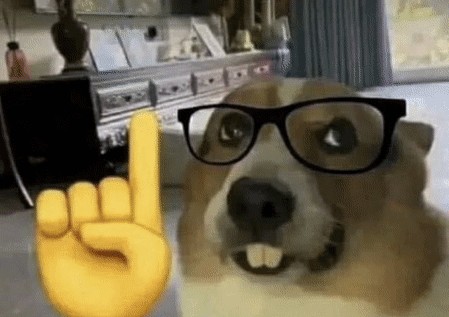 Create meme: nerd dog, meme with dogs, the dog is a funny meme