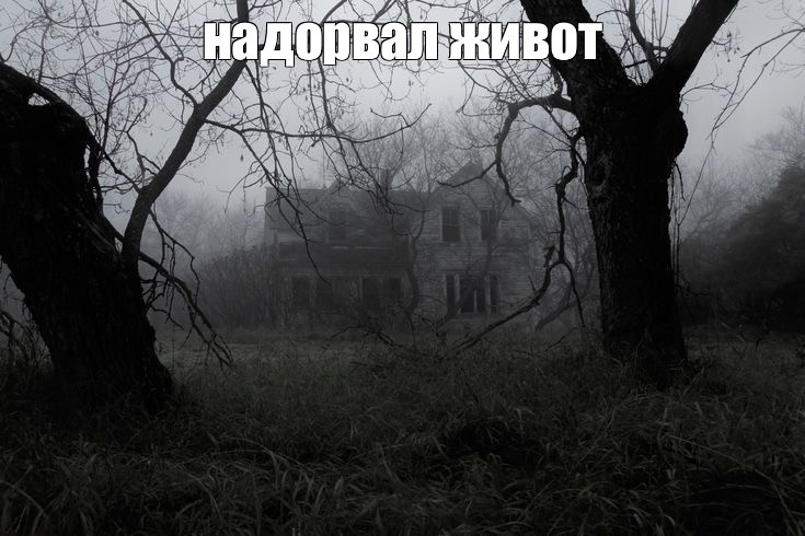 Create meme: abandoned houses in the forest, dark house, a gloomy place