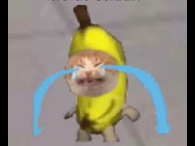 Create meme: cartoons , banana cat cry, cat cry