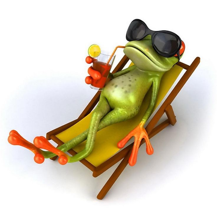 Create meme: frog with glasses, frog on vacation, postcard I'm on vacation funny