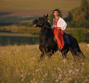 Создать мем: казак қызы жорга, казаки в поле, цыган на лошади