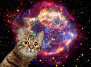 Create meme: space cat, the cat on the background of the cosmos, cat in space