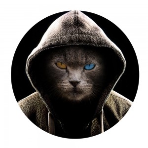 Создать мем: кот в капюшоне с надписью, крутой кот в капюшоне, крутой обой