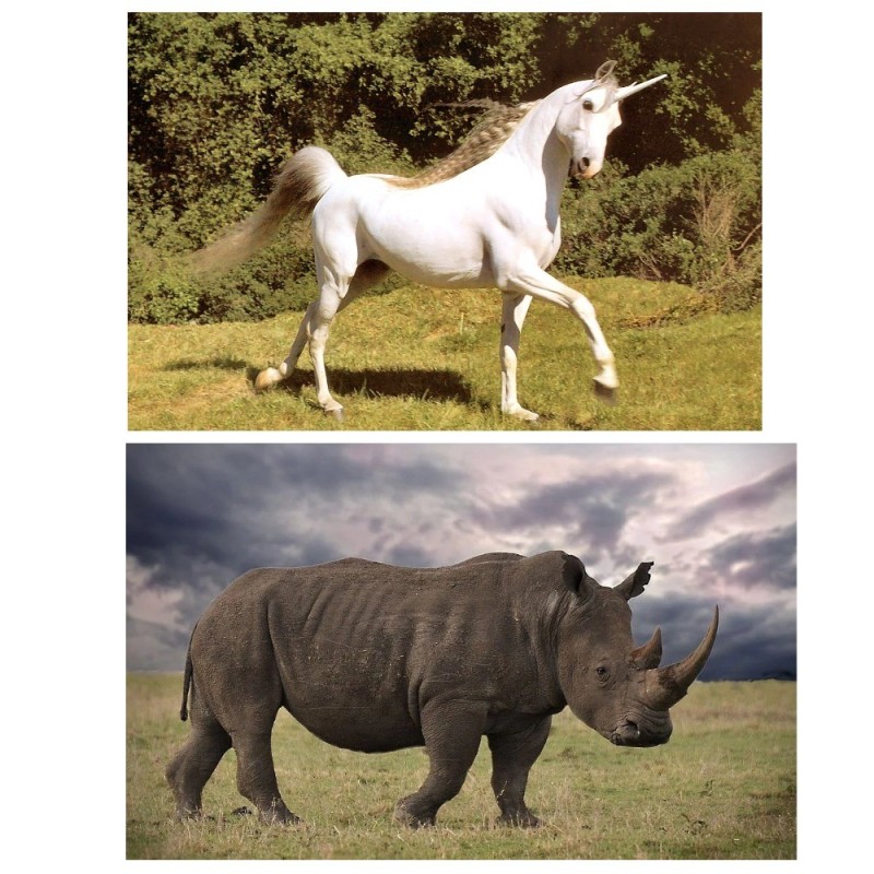 Create meme: real unicorns, unicorn , unicorn 