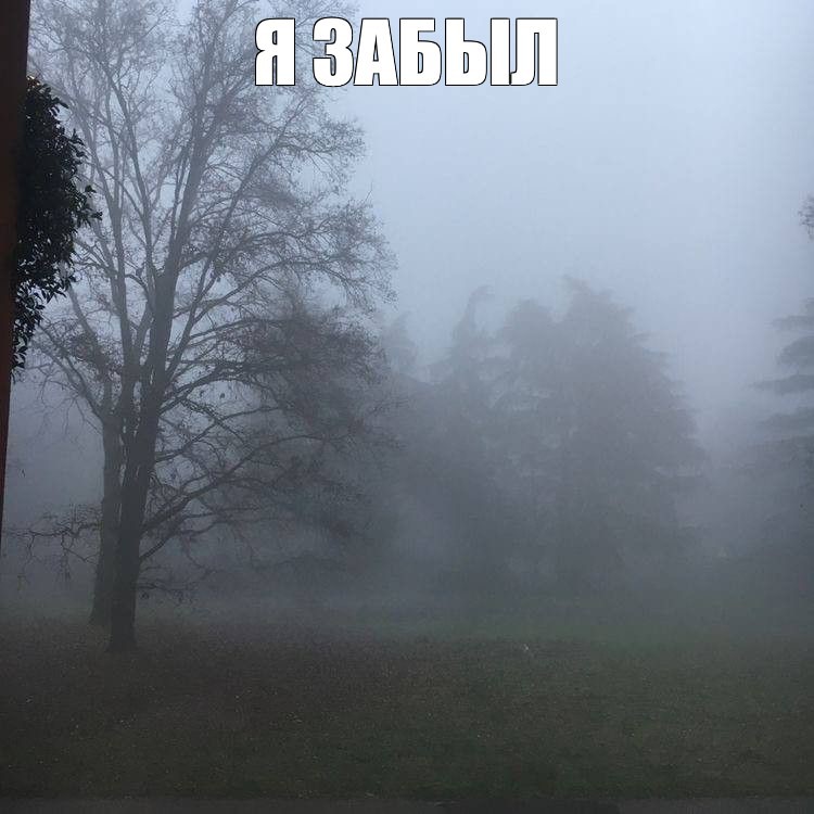 Create meme: forest fog, nature fog, landscape fog