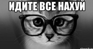 Create meme: cat, cat with black glasses