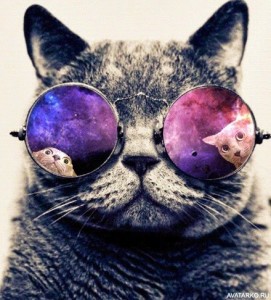 Создать мем: аватарка кот в очках, кот в очках космос оригинал, котик в очках картинки