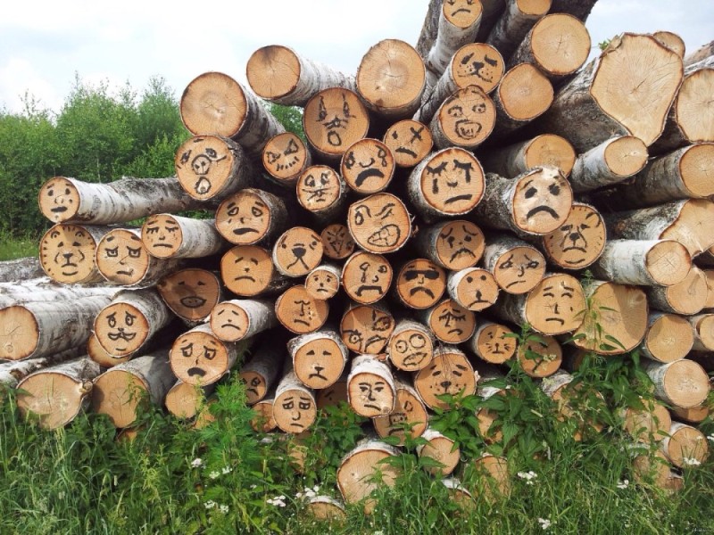 Create meme: logs, kruglyak forest, round woodpile