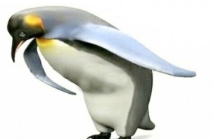 Create meme: penguin thank you