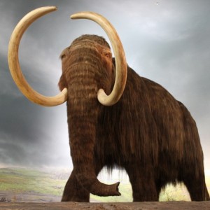 Create meme: mammoth, mammoth