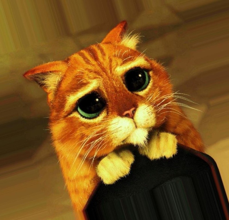Create meme: shrek the cat's eyes, cat Shrek , sad cat from shrek