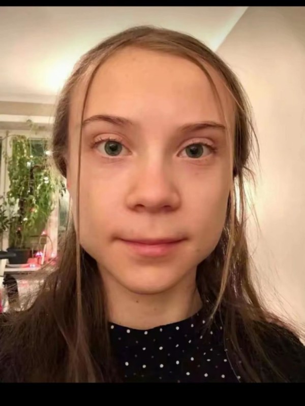 Создать мем: greta thunberg, грета тумберг, грета тунберг сейчас