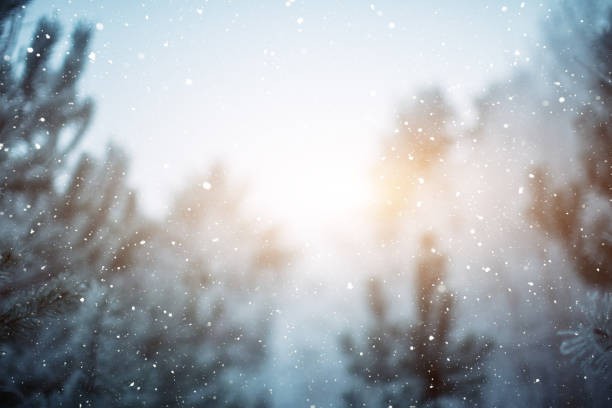 Create meme: blurred winter background, winter background, winter backgrounds