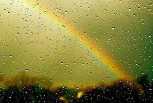 Create meme: rainbow, condensate, precipitation