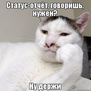 Создать мем: коты, котик, кот философ мем