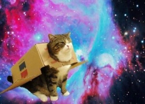 Создать мем: котики смешные, кот в космосе мем, кот в космосе