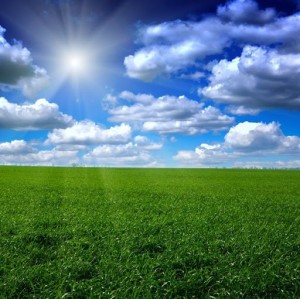 Create meme: field nature, blue sky, green field