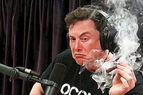 Create meme: Elon musk with pot, elon musk smoke, Elon musk smokes