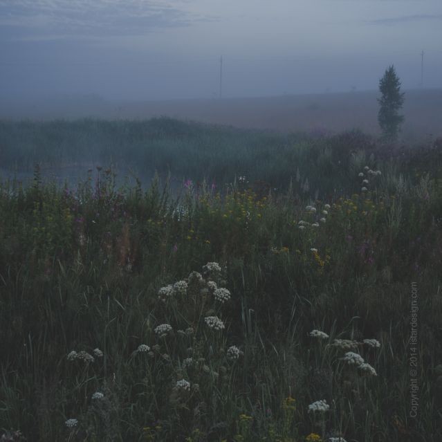 Create meme: the landscape is gloomy, misty meadow, field in the fog