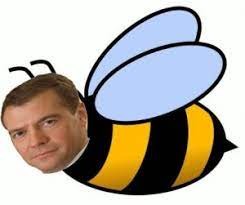 Создать мем: смешной шмель, пчела, билайн