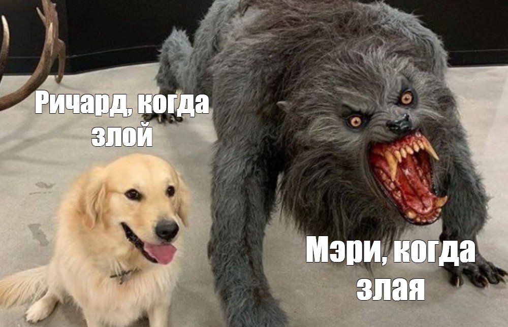 Создать комикс мем "dog, собака, собака и оборотень мем" - Комиксы - Meme-arsena