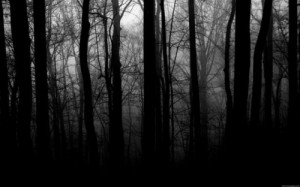 Create meme: fog, fog in the forest, foggy forest