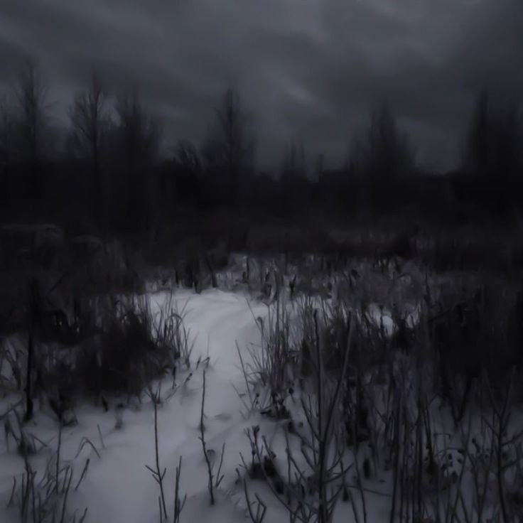 Create meme: the forest dark, Gloomy forests, the landscape is gloomy