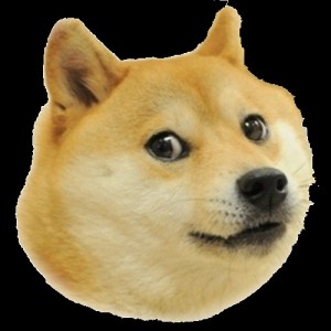 Создать мем: гиф doge meme, doge adventure, doge png