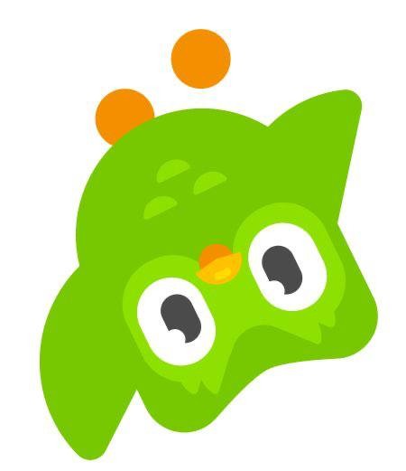 Create meme: duolingo, owl duolingo, duolingo stickers