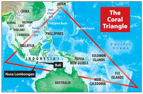 Create meme: coral triangle, French polynesia map, Polynesia on the world map