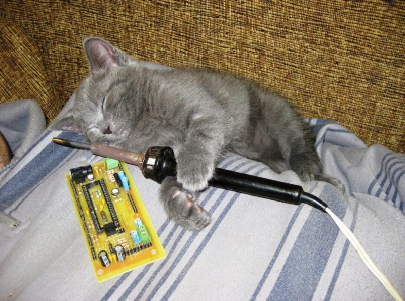 Create meme: a cat with a soldering iron, cat ham, cat 