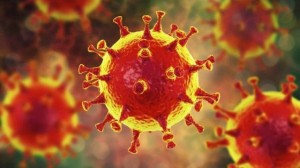 Create meme: cage coronavirus, virus, coronavirus Wallpaper